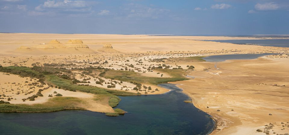 FAYOUM OASIS DAY TOUR