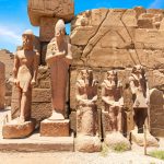 Gallery Thumbnail 11