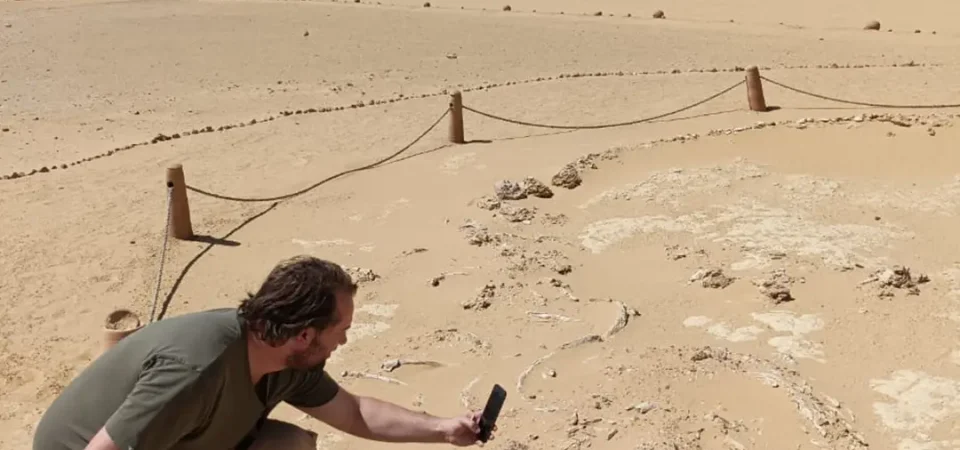 Fayoum Oasis Day Tour